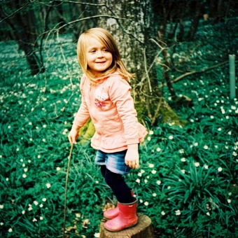 Snowdrops