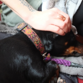 Bea